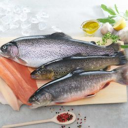 © Decleva's Alpenfisch Mariazell