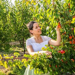 Marillenglück im Marillengarten