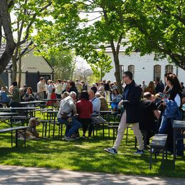 © Gault&Millau / Stefan Donat Im Garten des Bio-Landguts Esterhazy