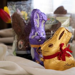 Schoko-Osterhasen am Prüfstand