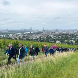 Blick vom Nussberg über Wien