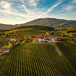 Weingut Posch, Ried Hollerberg
