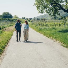 Auszeit in Niederösterreichs Weinregionen