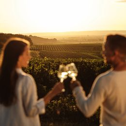 Gutes Essen und guter Wein bei „Taste the Weinviertel"