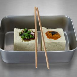 Natur Tofu mit Soße ist nur eines der Gerichte bei Wiener Tofu