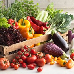 Sonniges Sommer-Gemüse