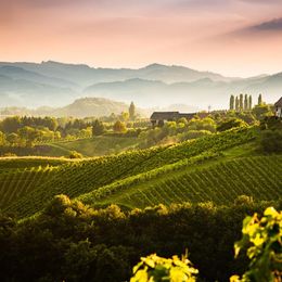 Viele Tipps beziehen sich auf die Südsteiermark