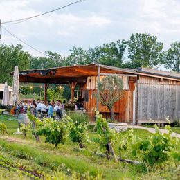 Gugumucks Gastgarten im Grünen