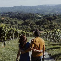 Blick vom Hotel in die südsteirischen Weinberge 