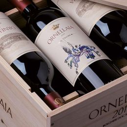 Künstleretikett mit einem Daumen, der einen Abdruck in der Erde hinterlässt