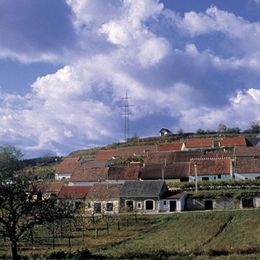 Kellergasse im Kamptal