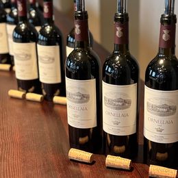 Ornellaia Vertikale mit 2023 beginnend