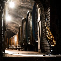 Kulturgenuss am Weingut