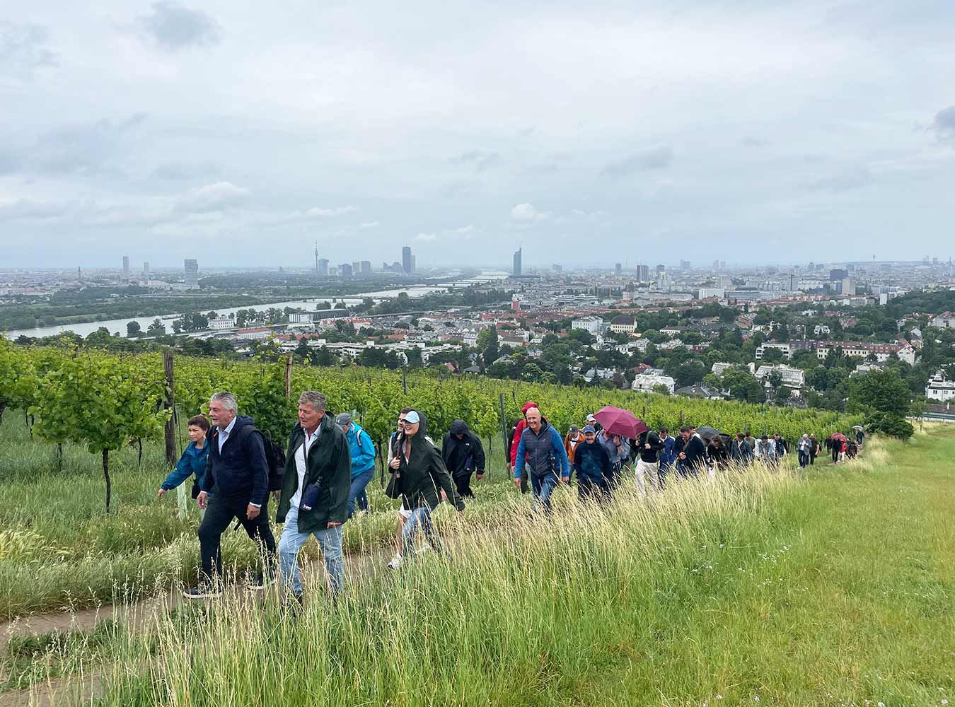Blick vom Nussberg über Wien