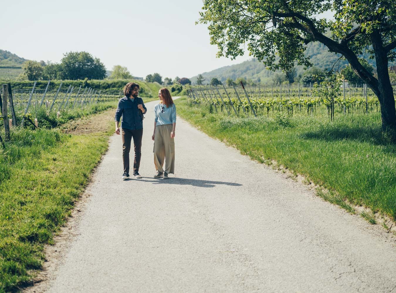 Auszeit in Niederösterreichs Weinregionen