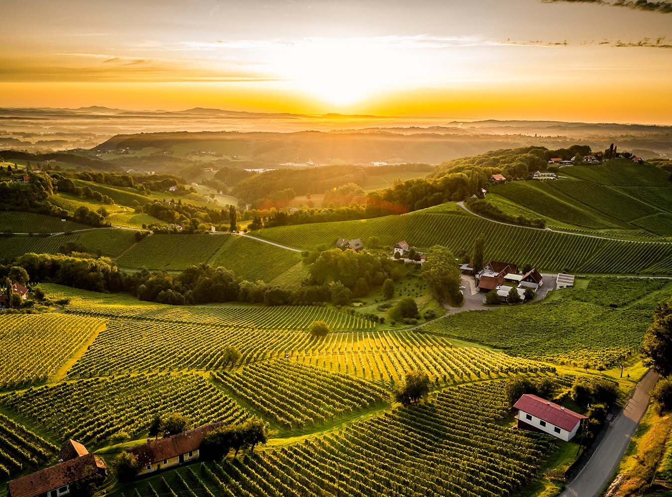 Ried Obegg in der Südsteiermark
