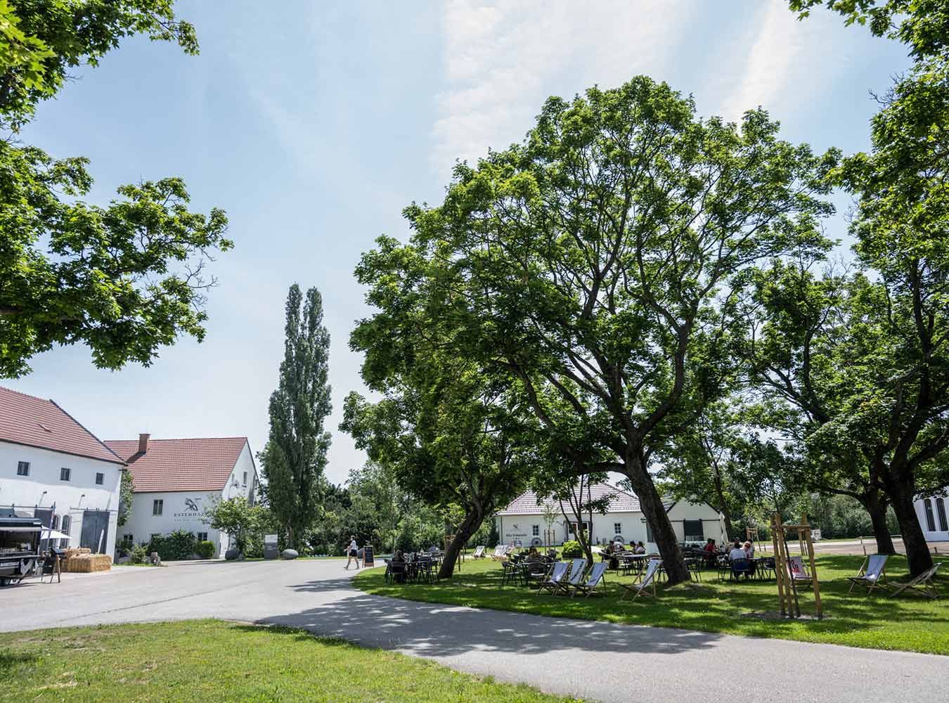 Das Bio-Landgut Esterhazy