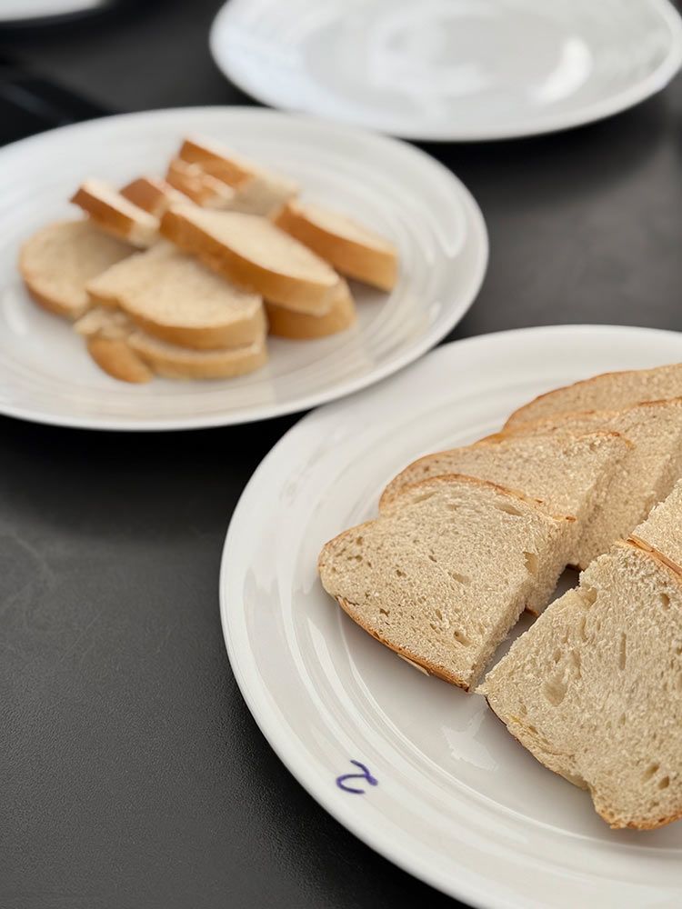 So sahen die Proben aus