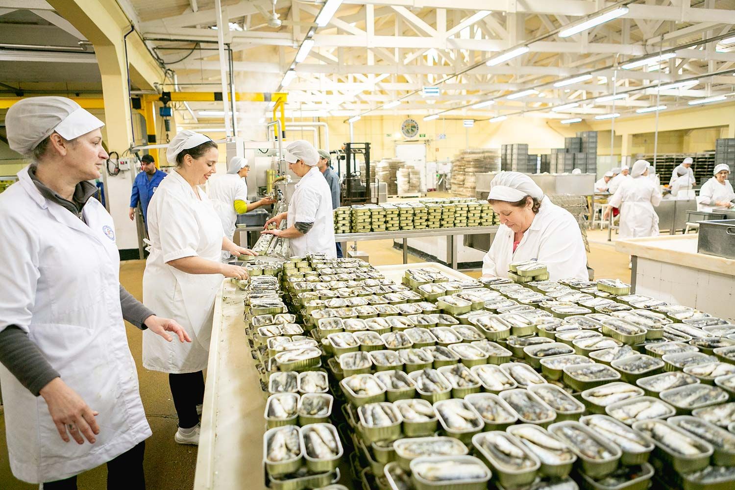 Die Sardinen und das Gemüse werden händisch in Dosen gebettet.