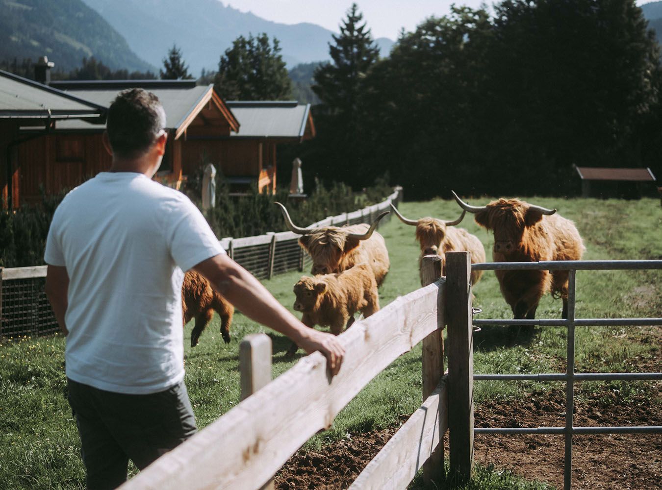 Grosslehen
