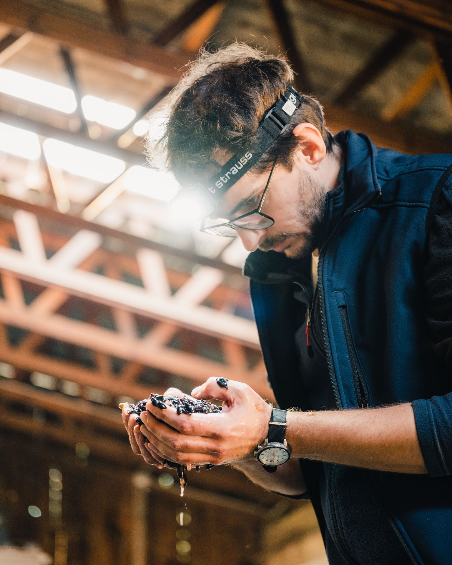 Warda Network & CMVisuals