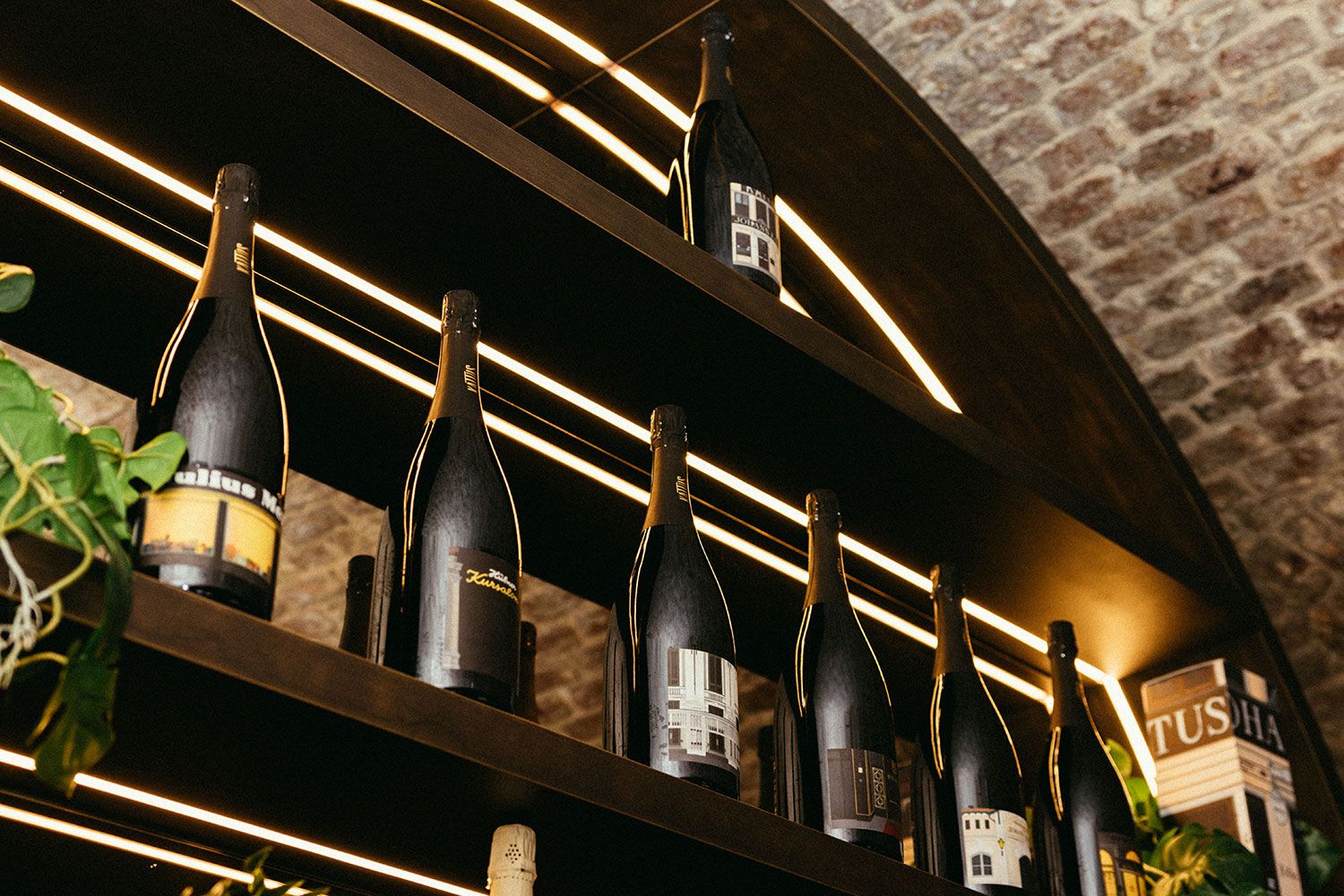 Verschiedene Varianten des Kunststücks