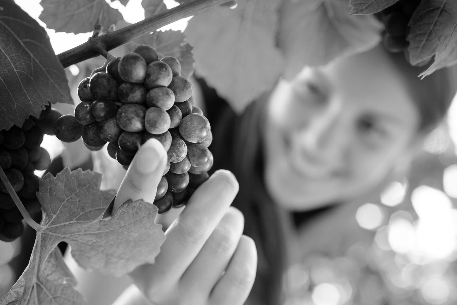 Symbolfoto Shutterstock