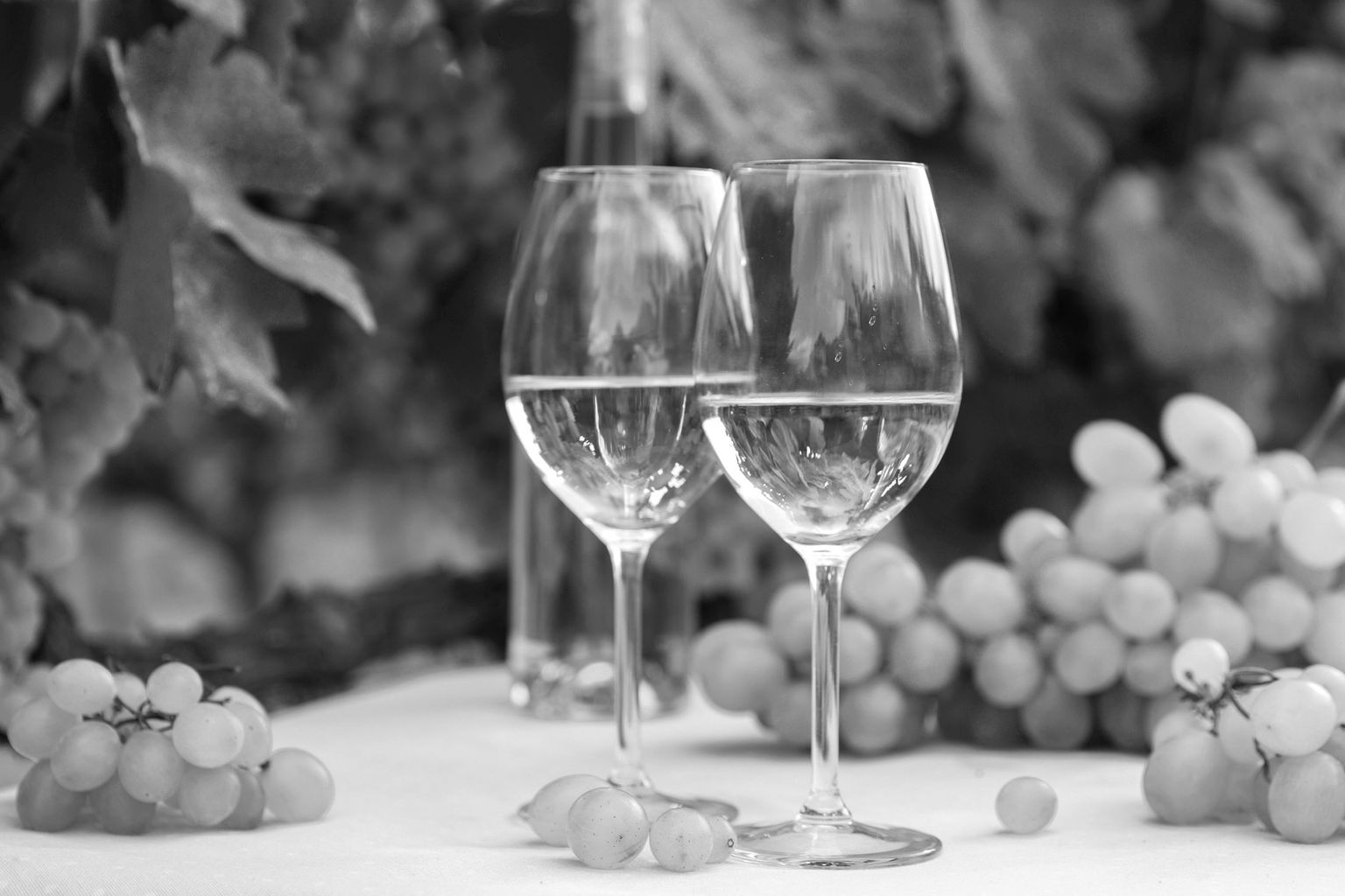 Symbolfoto Shutterstock