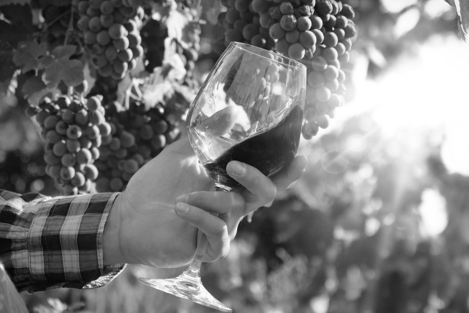 Symbolfoto Shutterstock