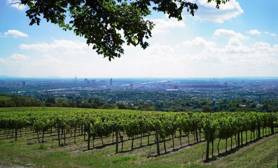 Weingut Wien Cobenzl