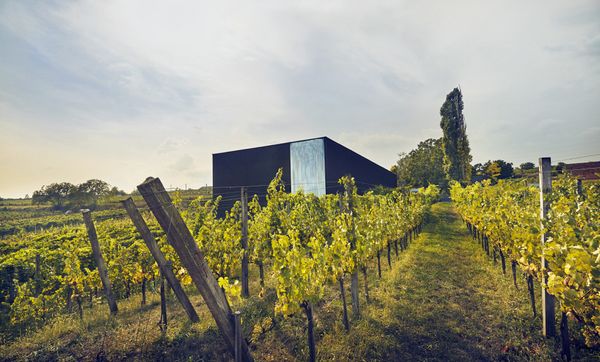 Weingut Loimer Weingut Loimer