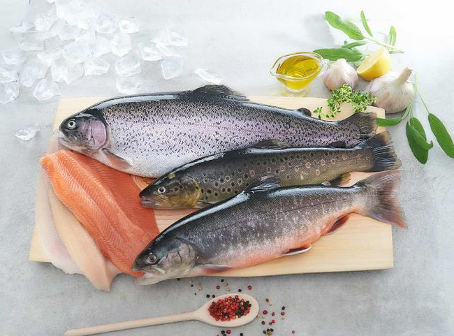 © Decleva's Alpenfisch Mariazell