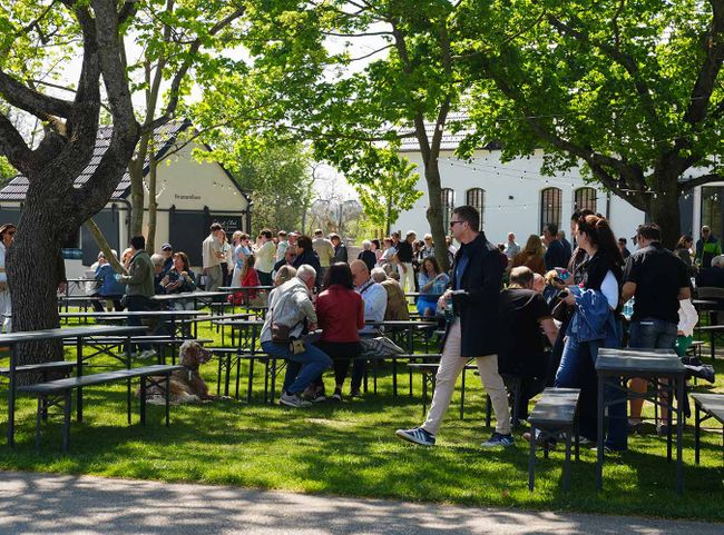 © Gault&Millau / Stefan Donat Im Garten des Bio-Landguts Esterhazy