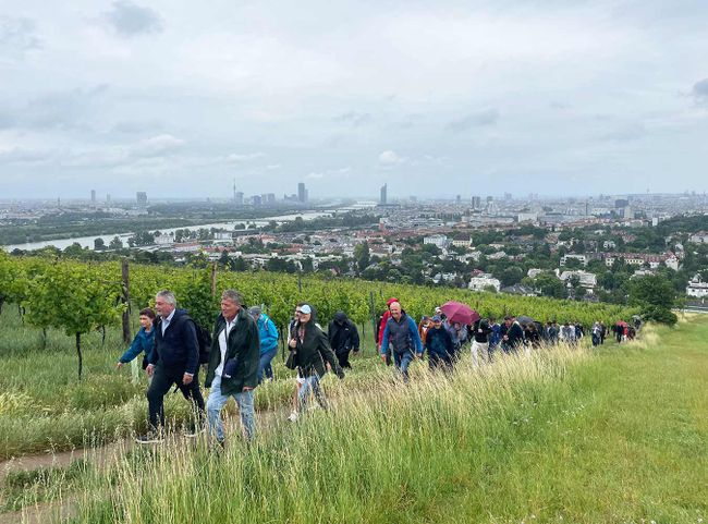 Blick vom Nussberg über Wien