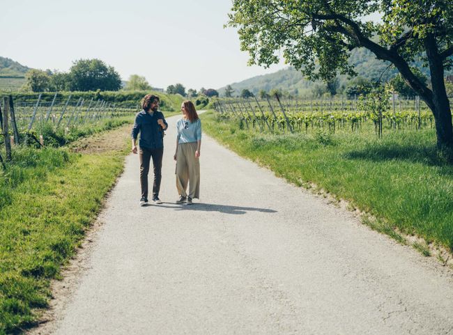 Auszeit in Niederösterreichs Weinregionen