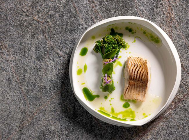 Kreation aus der Forelle