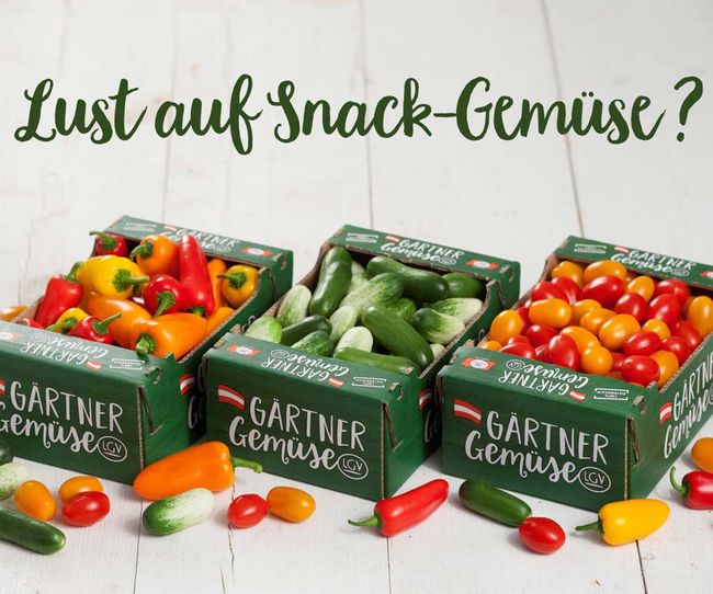 / Foto beigestellt Köstliche Snacks: Paprika, Minigurken und Cherry-Paradeiser