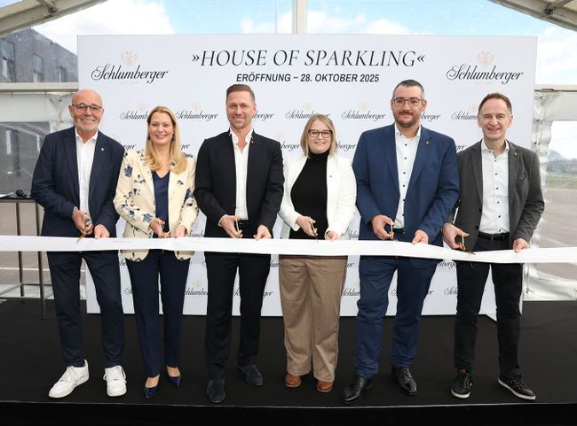 V.l.n.r.: Werner Huf, Daniela Winkler, Florian Czink, Aurore Jeudy, Patrick Meszarits und Stephan Dubach