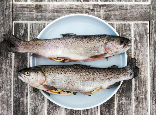 © Gregor Moser / Unsplash Symbolfoto