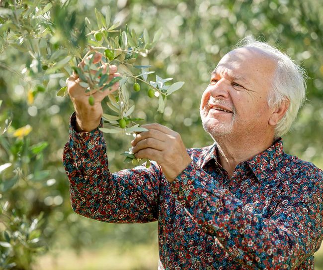 © Foto beigestellt Duilio Belic, Grandseigneur der istrischen Olivenölszene.