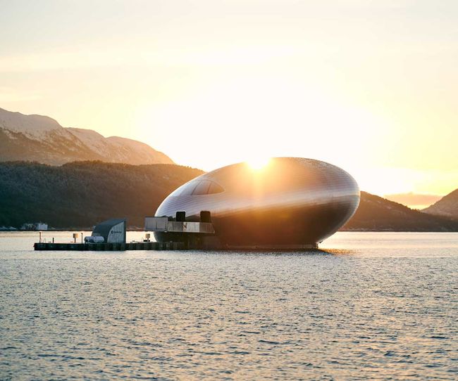 © Salmon Eye Ein Restaurant mit beeindruckender Architektur