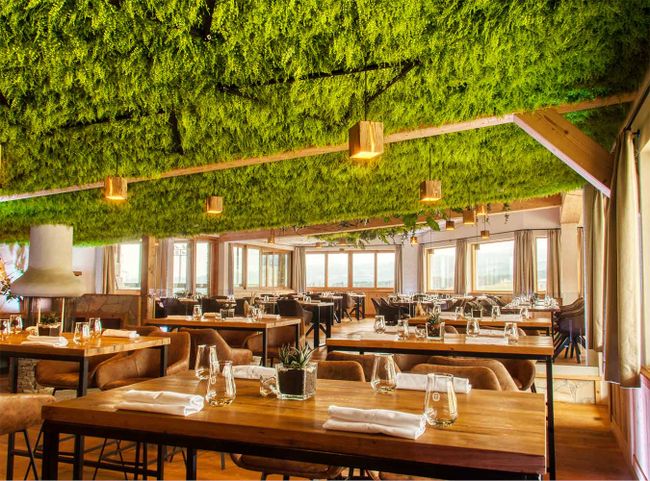 © Reiterhof Stückler