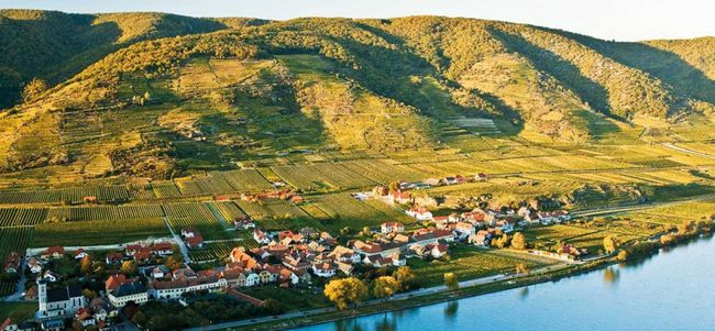 © Domäne Wachau Der Loibenberg