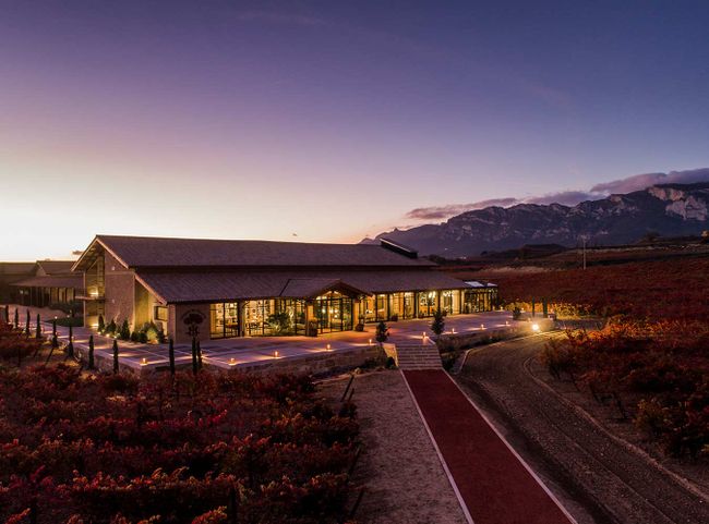 Vinedos de Pagaños vor dem kantabrischen Gebirge