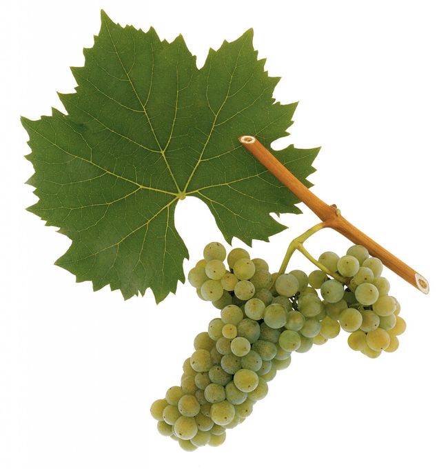 Credit: ÖWM, Peter Oberleithner