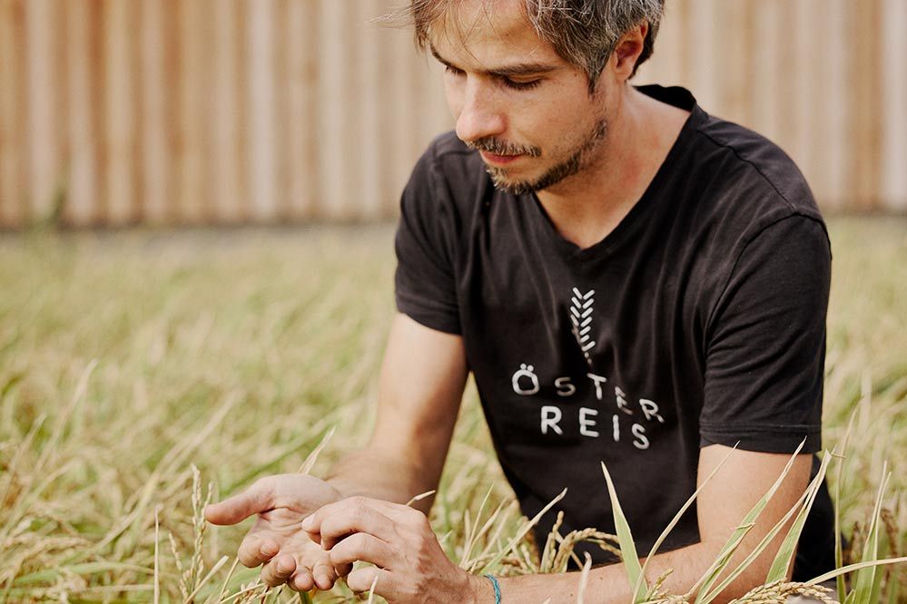 Reis-Bauer Gregor Neumeyer