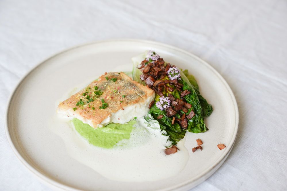 Mondsee Zander mit Speck, Erbse und gebratenem Kopfsalat