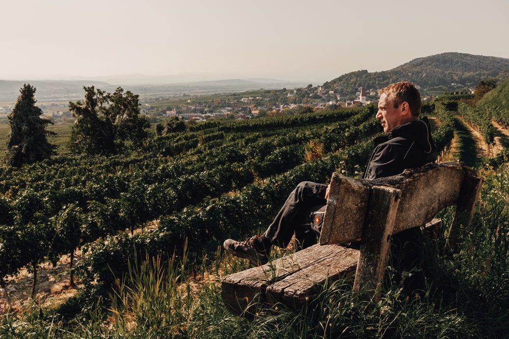 Weinland Traisental, Wagram