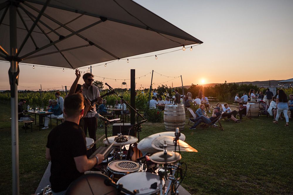 Musikalische Begleitung im Weingarten